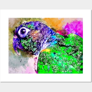 Watercolor Parrot Posters and Art